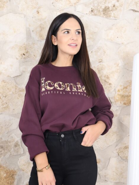 SUDADERA ICONIC BERENJENA